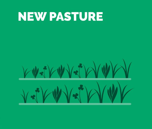 undersow graphic
